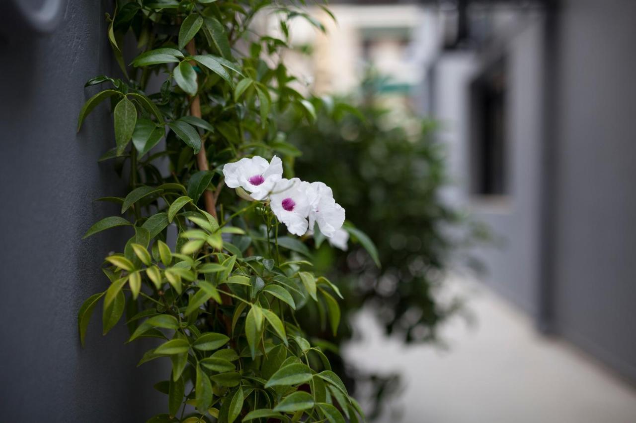 Spacious Flat With Courtyard And Private Parking! Atény Exteriér fotografie